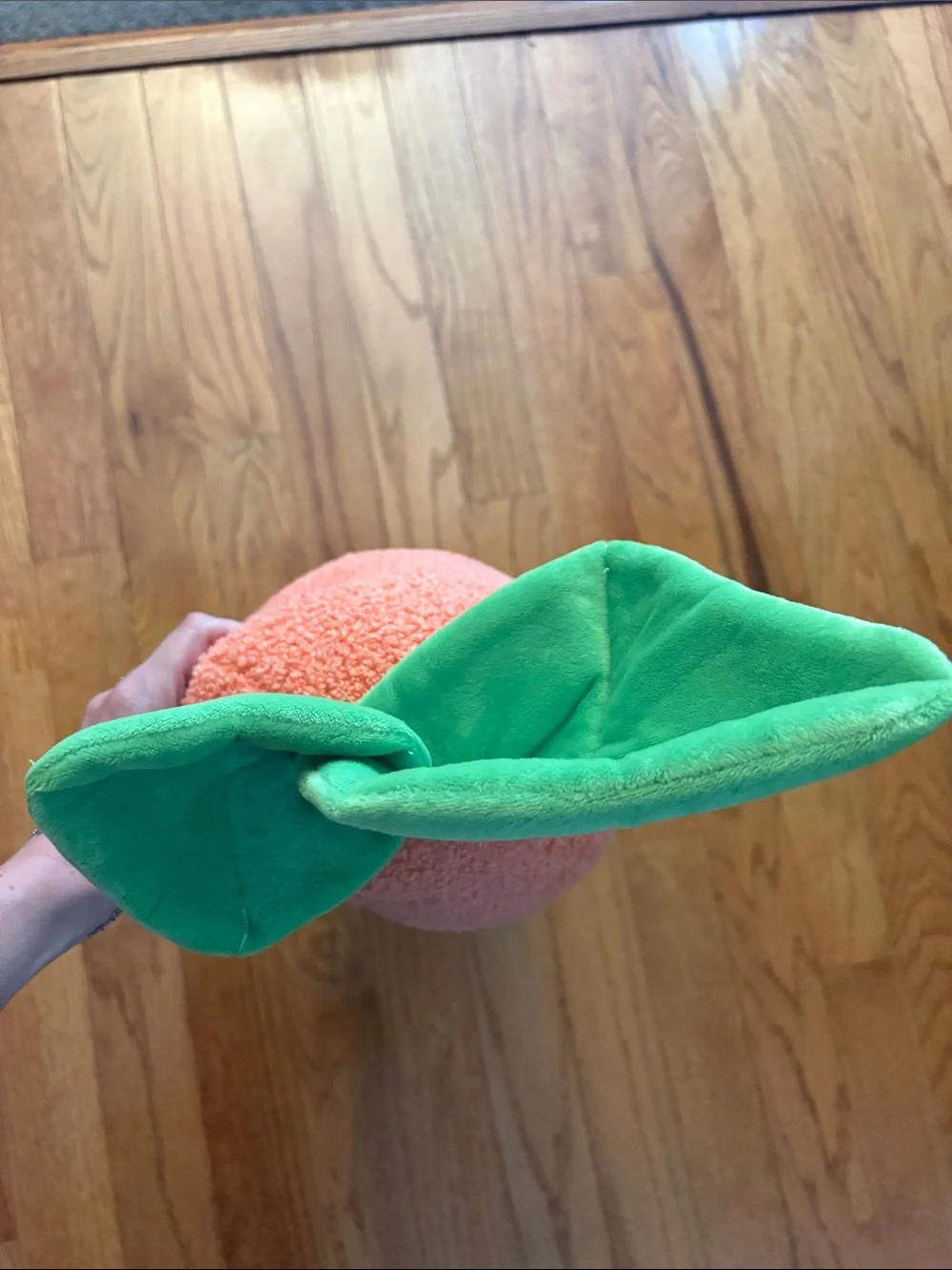 Giant carrot dog toy